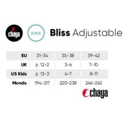 Chaya Bliss Kids Adjustable High Top Retro Roller Skates Size Chart - Lucky Skates 