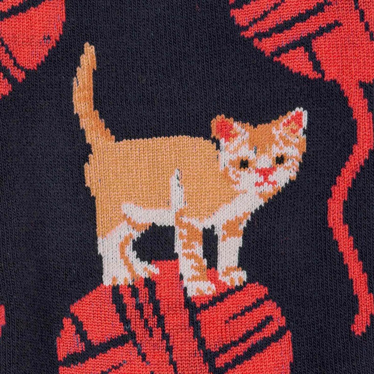 CLOSE UP OF ORANGE KITTEN STANDING ON RED BALL OF WOOL ON SIDE OF CREW SOCK