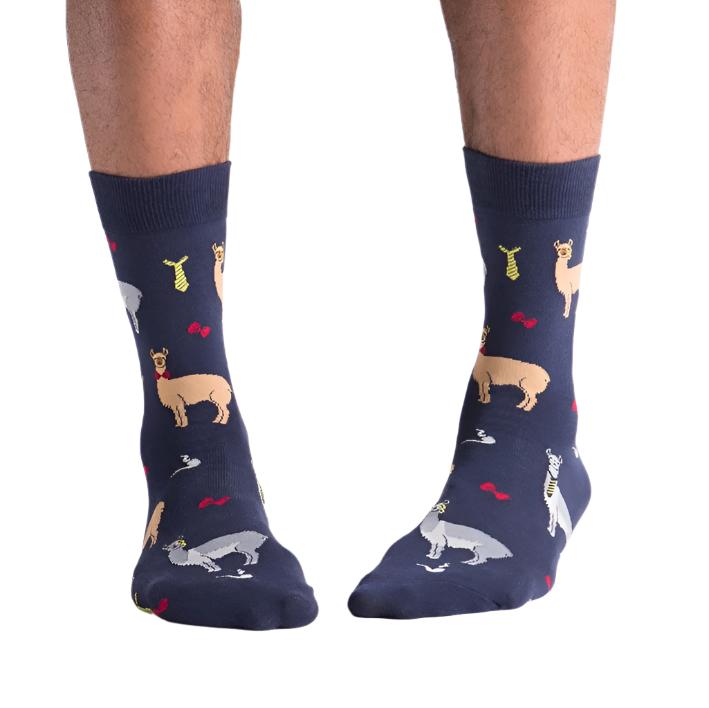 PERSON WEARING NAVY BLUE CREW SOCKS WITH PATTERN OF LLAMAS WEARING BOWTIES