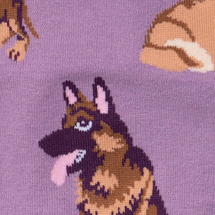 CLOSE UP OF GERMAN SHEPPARD DOG ON PURPLE SOCK