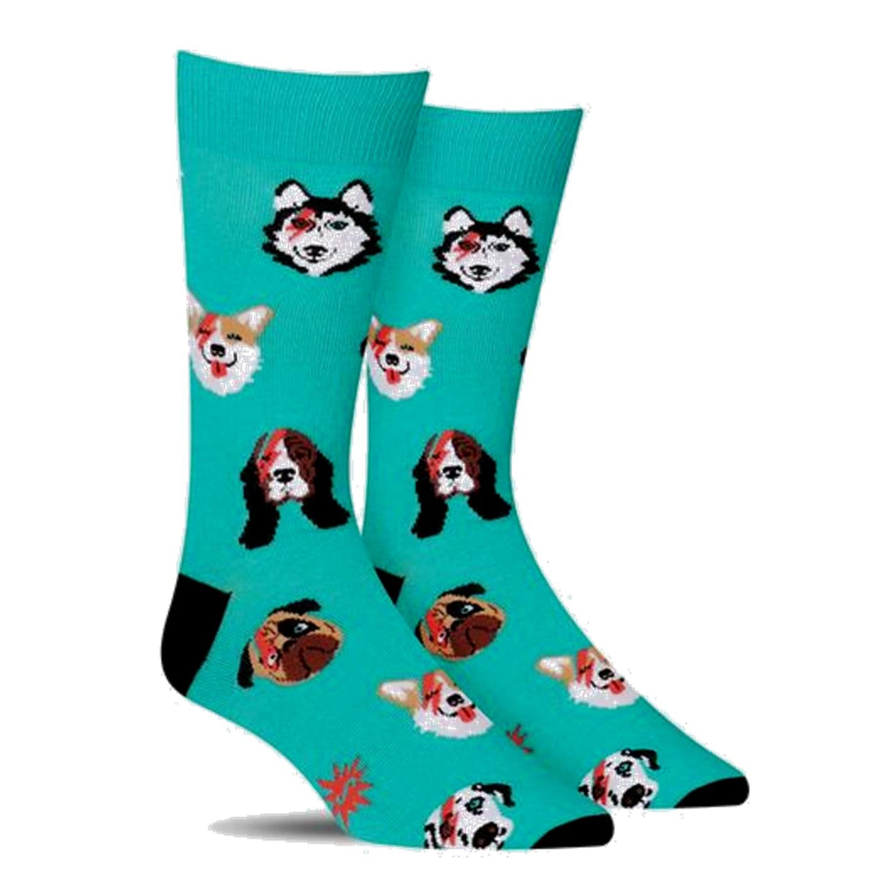 green socks with rock dogs 