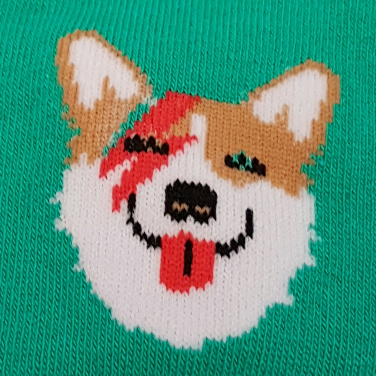 rock and roll dog on sock 